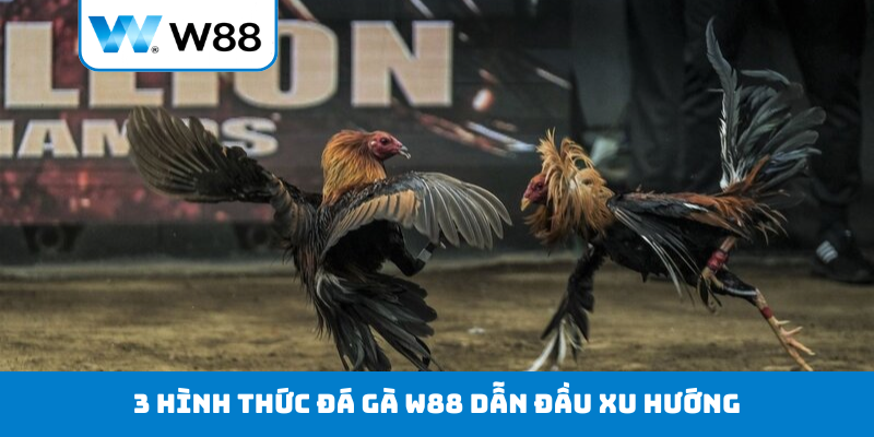 3 hình thức đá gà W88 dẫn đầu xu hướng