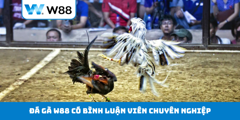 Đá gà W88 có bình luận viên chuyên nghiệp